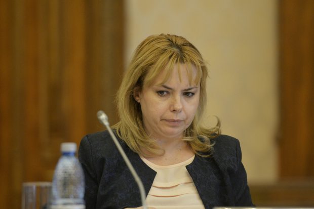 Preşedintele Senatului: E nevoie de o politică de integrare economică şi culturală a romilor