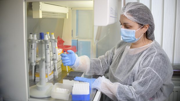 Îți plac animalele? Află ce salarii se câștigă în medicina veterinară