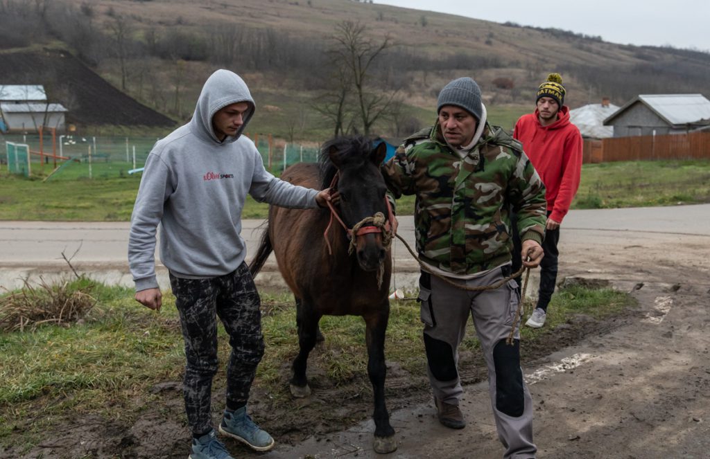 REPORTAJ. În loc de reni, Moș Crăciun a venit anul acesta cu o caravană salvatoare pentru iepe, măgărițe, câini și pisici