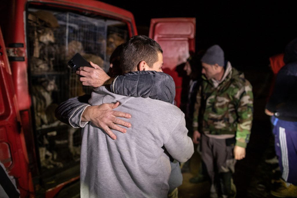 REPORTAJ. În loc de reni, Moș Crăciun a venit anul acesta cu o caravană salvatoare pentru iepe, măgărițe, câini și pisici