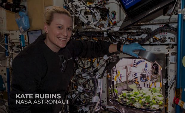 VIDEO | Prima recoltă de ridichi din spațiu, crescută de un astronaut NASA