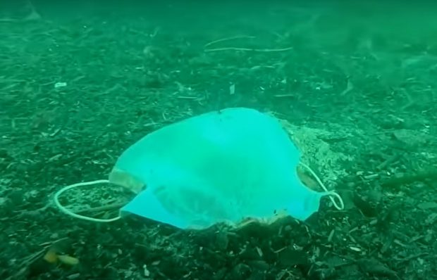 Peste 1,5 miliarde de măști sanitare vor ajunge în oceanele lumii. Descompunerea acestora va dura sute de ani