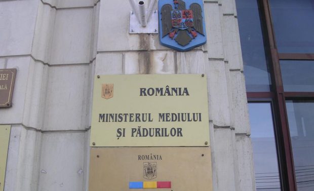 Fiică de primar ajunsă şefă într-un minister şi rugată să spună ce o recomandă pentru post: „Acum ce mă întrebaţi din astea!?”