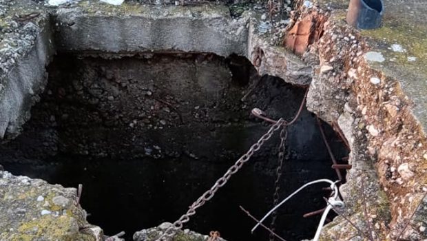 Doi indivizi reținuți în cazul câinilor găsiţi spânzuraţi într-un canal abandonat din Bihor