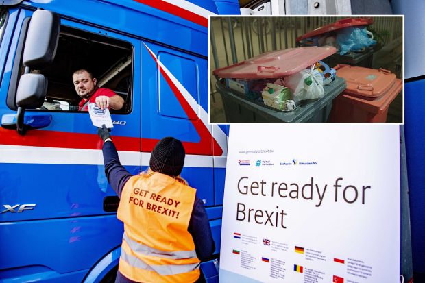 VIDEO | Șoferii de TIR care vin din Marea Britanie rămân fără mâncarea din cabină, când intră în UE