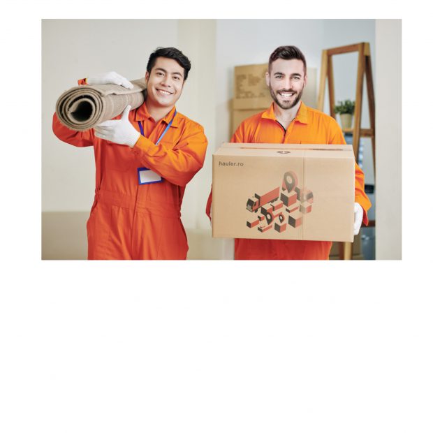 (Publicitate) Cum te poate ajuta o firmă de mutări mobilă în procesul de renovare a locuinței?