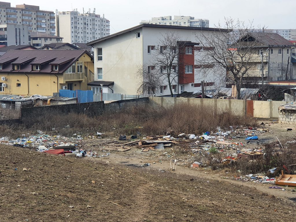 Unde trebuie să vină controalele anunțate de ministrul mediului: în sectorul 3 vezi jumătăți de porc aruncate de la Ignat chiar în parc!