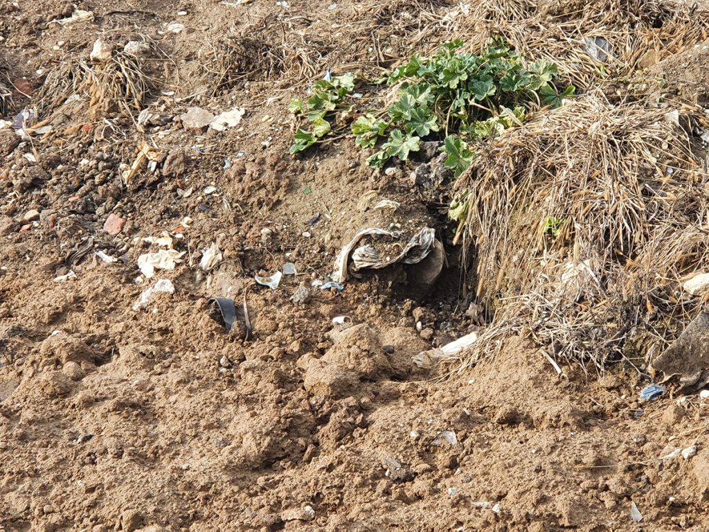 Unde trebuie să vină controalele anunțate de ministrul mediului: în sectorul 3 vezi jumătăți de porc aruncate de la Ignat chiar în parc!