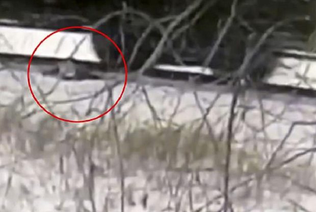VIDEO | Un băiat de 11 ani a rămas fără picioare, după ce a încercat să facă o cascadorie pe un tren