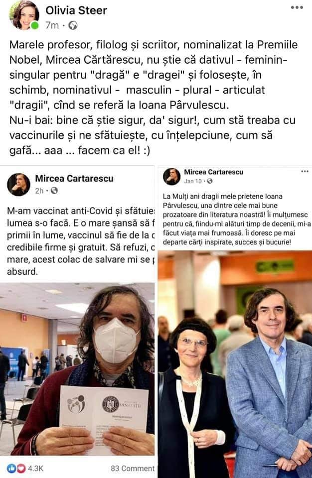 Ce i-a răspuns Mircea Cărtărescu Oliviei Steer, care îi imputase o greșeală gramaticală pe care nu o făcuse