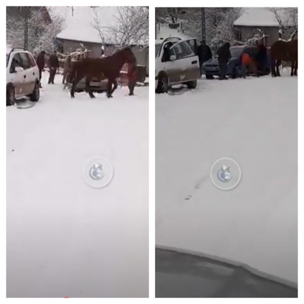 VIDEO | Mai mulți șoferi din Satu Mare și-au scos mașinile împotmolite în zăpadă cu ajutorul cailor