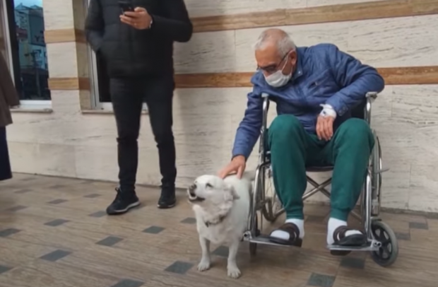 VIDEO | În Turcia, un cățel a stat ”de gardă” câteva zile în fața spitalului în care era internat stăpânul său
