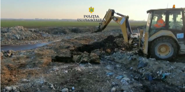 Cazul oilor înecate în Portul Midia: Animalele au fost îngropate în câmp, deși trebuiau incinerate. Patronul firmei: „Le-am incinerat la Protan şi am făcut îngrăşământ bio”