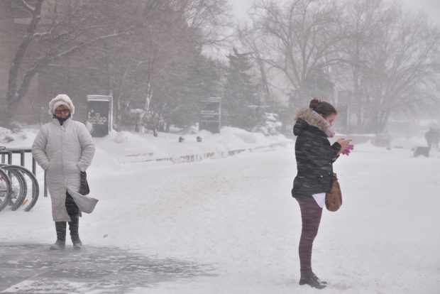 Ninsori, vânt și polei în întreaga țară, până miercuri la prânz