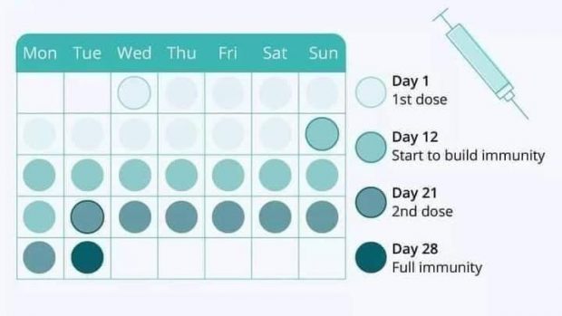 Din a câta zi după prima doză de vaccin apar anticorpii COVID