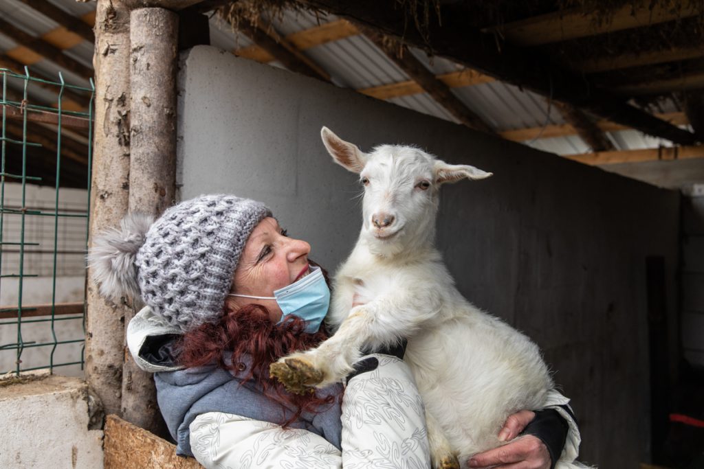 REPORTAJ | Ce fac animalele salvate de Crăciun? La un adăpost de lângă Calafat, sute de necuvântătoare abuzate sau părăsite trăiesc a doua viaţă