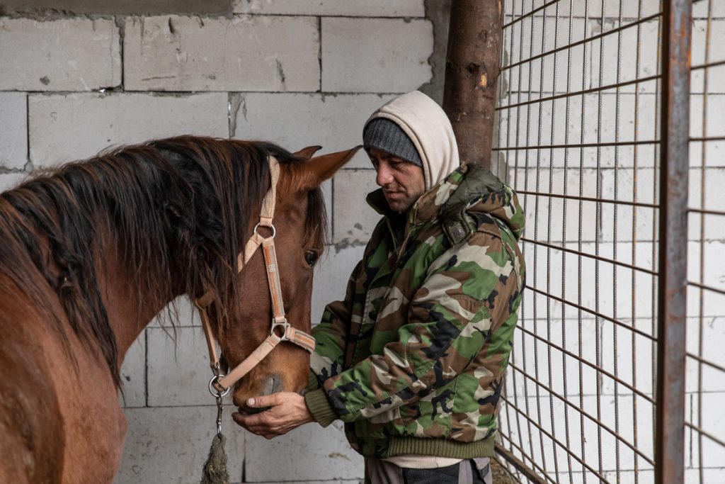 REPORTAJ | Ce fac animalele salvate de Crăciun? La un adăpost de lângă Calafat, sute de necuvântătoare abuzate sau părăsite trăiesc a doua viaţă