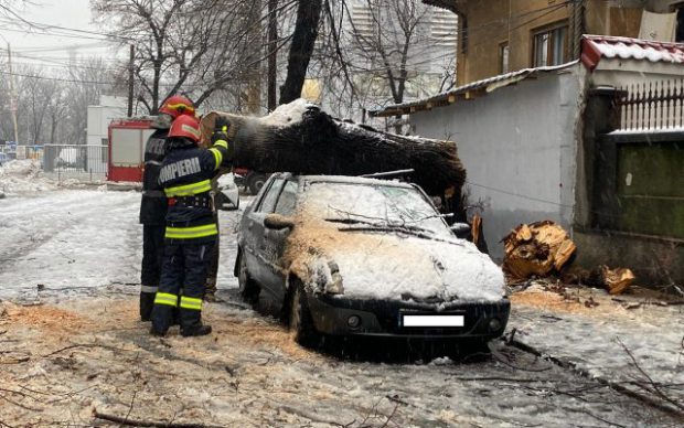 Haos în București după prima ninsoare din an: mașini avariate, un stâlp de electricitate căzut și copaci prăbușiți