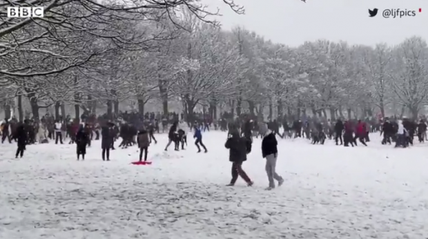 Doi britanici, amendați cu câte 11.000 de euro, după ce au organizat o bătaie cu bulgări de zăpadă într-un parc din Leeds