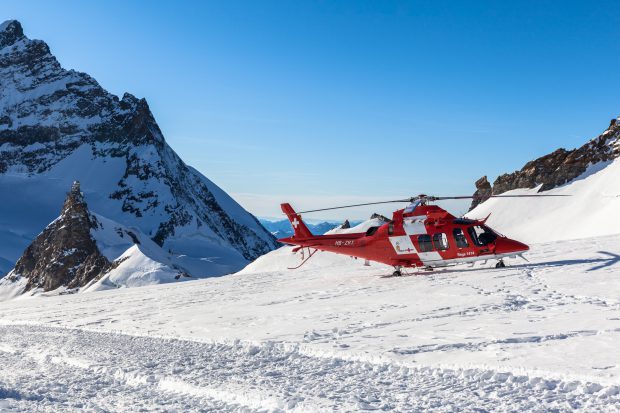 Doi oameni surprinși de o avalanșă în Elveția, salvați de câinii lor. Cum au reușit animalele să aducă ajutor