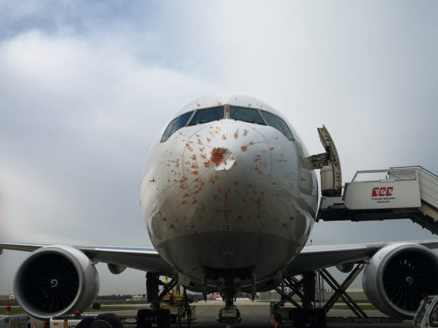 VIDEO | Un avion de marfă turcesc a aterizat de urgență după ce a fost avariat de un stol de păsări