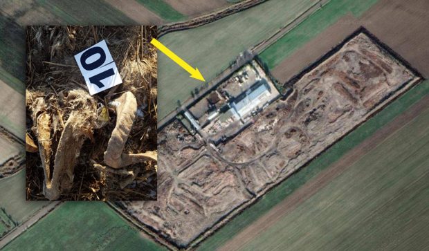 Cimitir ilegal lângă Dunăre: mii de animale îngropate lângă un „incinerator”. Procurorii au găsit bălți de sânge și amoniu de 30 de ori mai mult decât valoarea admisă