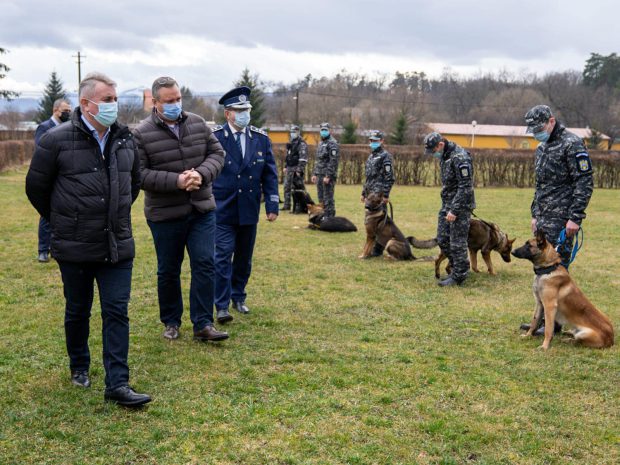 Câinii antrenați să depisteze persoanele cu COVID-19 vor fi folosiți pe aeroportul din Sibiu, anunță ministrul de interne