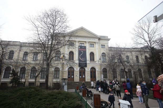 Aproape 100 de persoane, la coadă la Muzeul Antipa