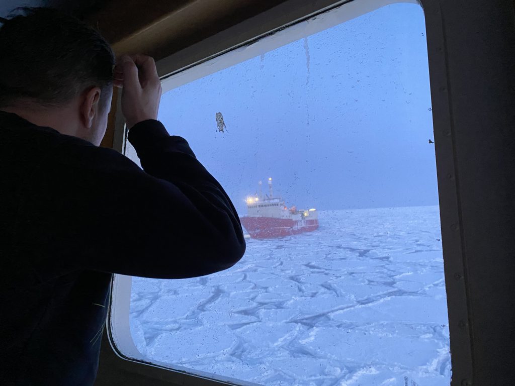 VIDEO | Cum a ajuns un tânăr basarabean să pescuiască crabi în Marea Barents, deasupra Cercului Polar. „Am lucrat pe trei nave și fiecare avea români‟