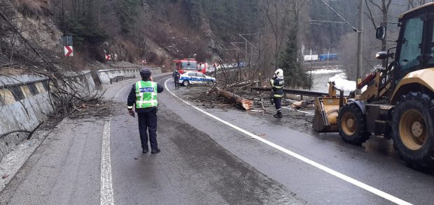 O femeie din București a murit, după ce un copac a căzut peste mașina în care circula cu soțul și cei doi copii. Familia era în vacanță