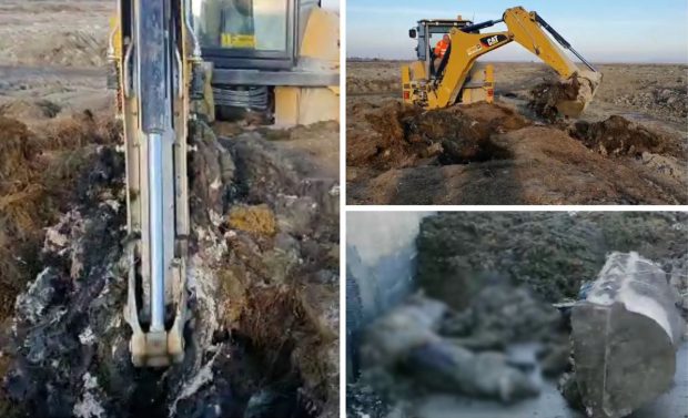 Filmări ale unei catastrofei ecologice: sute de tone de animale îngropate ilegal la Smârdan. ”Luăm nişte deşeuri şi creăm plusvaloare”, zice patronul