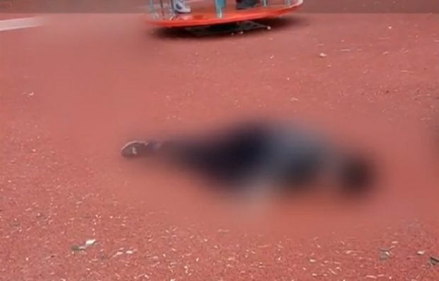 Copilul lovit de unchiul lui în parc, la Hunedoara, nu ține minte nimic din ce s-a întâmplat. A fost panică la locul de joacă: „A murit prietenul nostru”