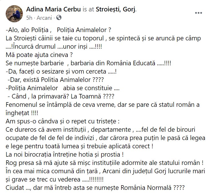 Câini uciși și aruncați într-o pădure din Gorj. IPJ Gorj face cercetări, Poliția Animalelor încă nu a fost înființată în județ
