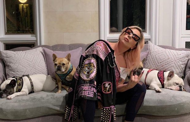 Lady Gaga și-a recuperat cei doi câini furați, după ce o femeie i-a predat poliției din Los Angeles