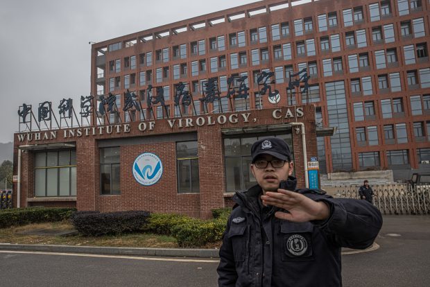 Experții OMS trimiși în China dezvăluie că, în decembrie 2019, în Wuhan circulau 13 tulpini de coronavirus