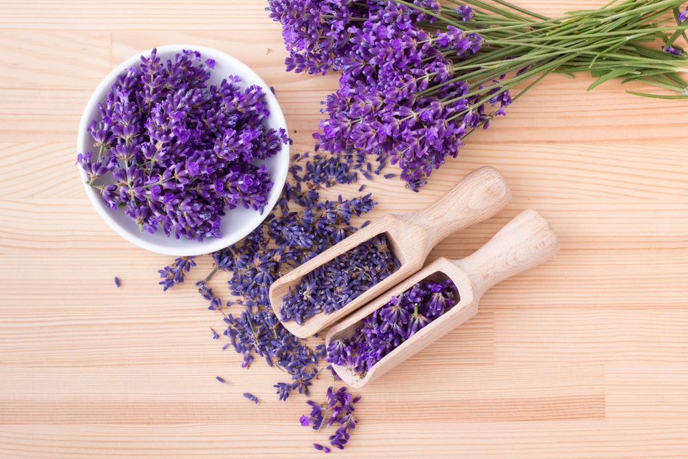 Lavanda uscată