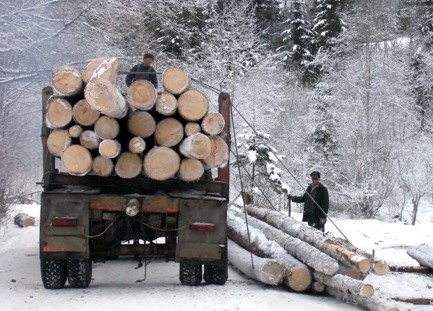 Agent Green, Declic și Greenpeace acuză Ministerul Mediului că a secretizat informații din aplicația care urmărește transporturile de lemne în România
