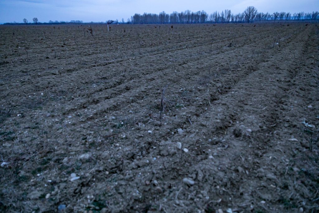 REPORTAJ | Parcul Memoriei Naţionale arată ca un tăpşan împrejmuit cu sârmă ghimpată. Ei au murit pentru ţară, noi zicem că pomii o să crească mai încolo