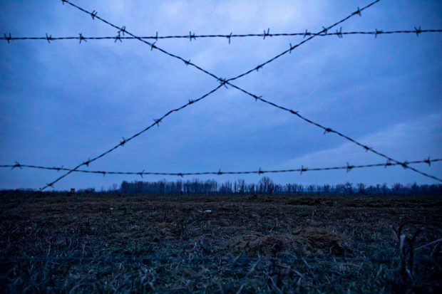 REPORTAJ | Parcul Memoriei Naţionale arată ca un tăpşan împrejmuit cu sârmă ghimpată. Ei au murit pentru ţară, noi zicem că pomii o să crească mai încolo