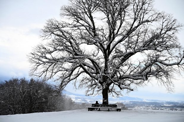 Tânără româncă de 20 de ani găsită chircită și înghețată în zăpadă, la miezul nopții, lângă conacul din Kienberg, în Austria