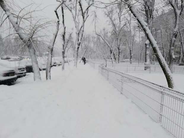 ANM a emis trei alerte meteo de vreme severă în întreaga țară. Sunt așteptate ninsori abundente, iar temperaturile scad până la -15 grade Celsius