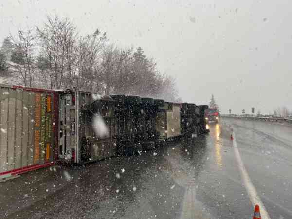 Camion cu 600 de porci, răsturnat în judeţul Bistriţa-Năsăud. Șoferul rănit a fost transportat la spital