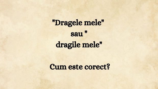 Dragele mele sau dragile mele. Cum este corect
