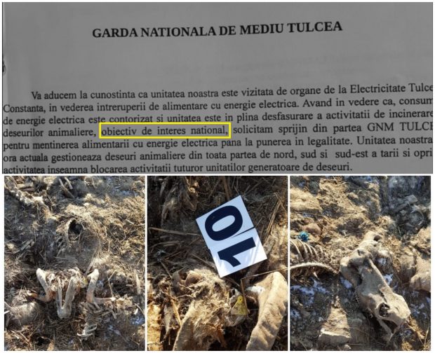 ENEL l-a prins pe patronul cimitirului ilegal că fură curent, dar Șeful Gărzii de Mediu Tulcea le-a cerut să nu-l întrerupă: „Obiectiv de interes național”!