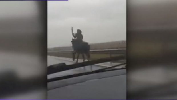 Imagini surprinzătoare în Dolj: Un bărbat gonea călare pe un drum european. Poliția face verificări