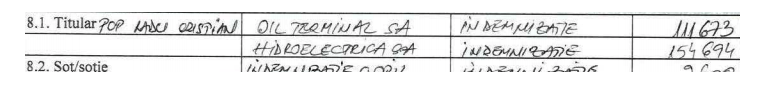 Băieții deștepți de la Hidroelectrica (II). Cum a făcut UDMR-istul Borbely Karoly slalom cu funcții bine plătite la stat