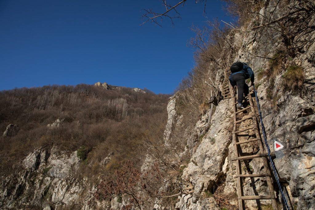 Așa arată scările care duc spre Ineleț și Scărișoara