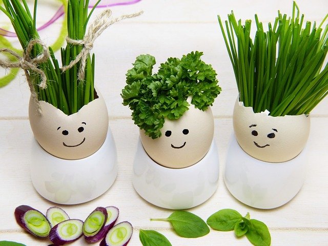 salata de oua cu ceapa verde - oua si verdeata