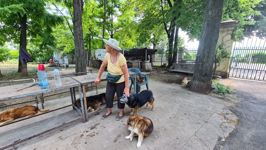 „În cimitir, eu sunt șefă”. Povestea mezzosopranei care, de un sfert de secol, deschide calea printre mormintele din Cimitirul Evreiesc din Iași