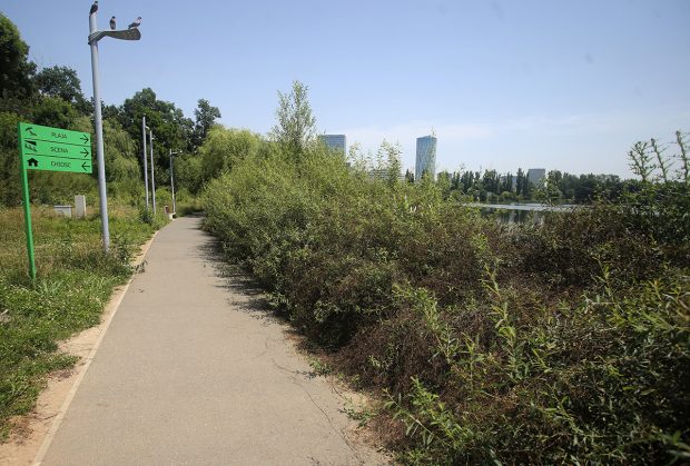 Prefectul Capitalei a cerut în instanţă anularea unei decizii vechi a Primăriei de restituire a Parcului Bordei